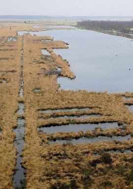 Basiskwaliteit natuur Friesland