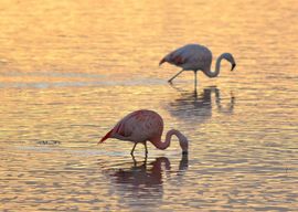 Even in het buitenland