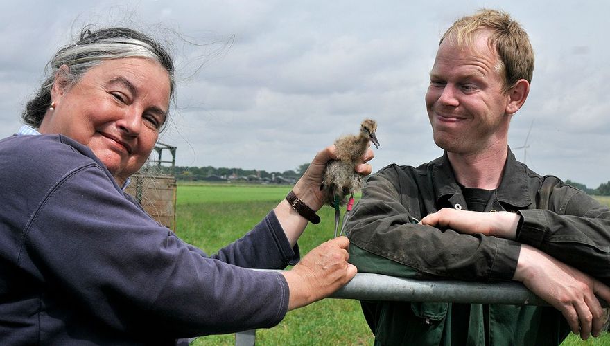 Astrid Kant en Willem van Hemert met jonge grutto / Astrid Kant