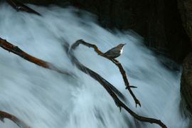 Wonen in de waterval