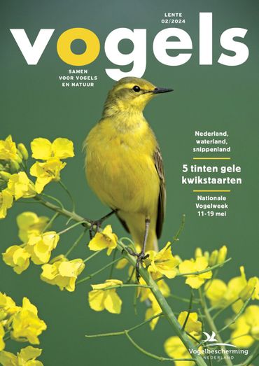 Cover Vogels 2/2024