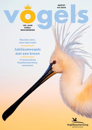 Vogels 04/2024