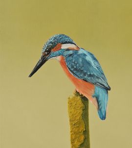 Olieverf ijsvogel / Milena Huender