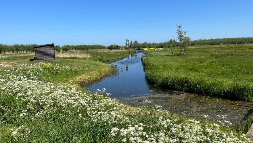 Zouweboezem / Pien Eekhout