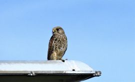 even uitrusten van de jacht