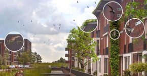 Natuurinclusief bouwen / vormgeefster Sonja Kamer