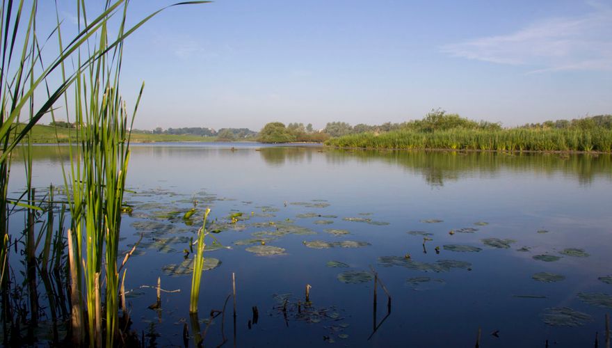 Ooijpolder Waal / Agami