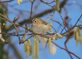 Kleintje in de winterzon