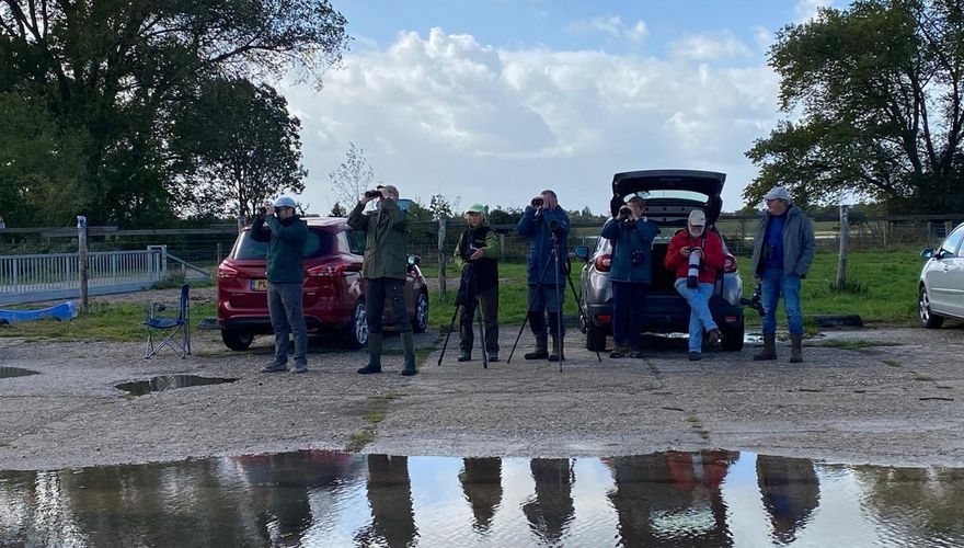 Telpost Steenfabriek Heesselt / Els Bary-Peters