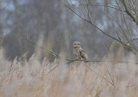 Ik ga mooi op in mijn omgeving