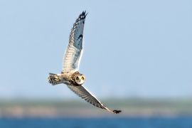 Hard en laag door de bocht