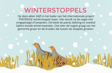 Infobord Winterstoppels PARTRIDGE