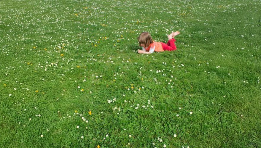 Meisje in gras / Vilda