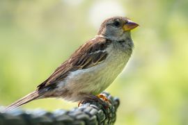 Samen een terrasje pakken