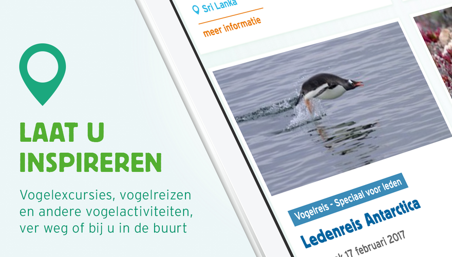 Nieuwe website