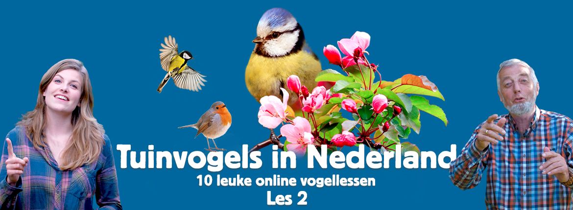 Header les 2 tuinvogelcursus