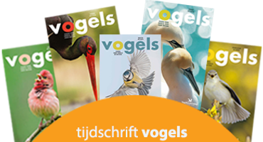 cover vogels