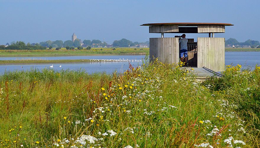 Vogelkijkhut Nederland overzicht - Reisliefde