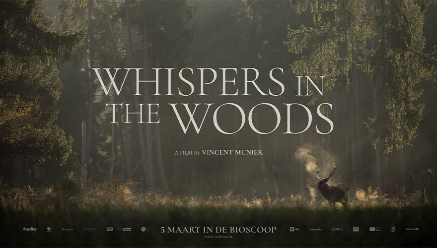 Whispers in the Woods poster