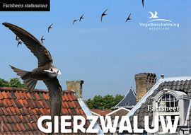 Download factsheet gierzwaluw