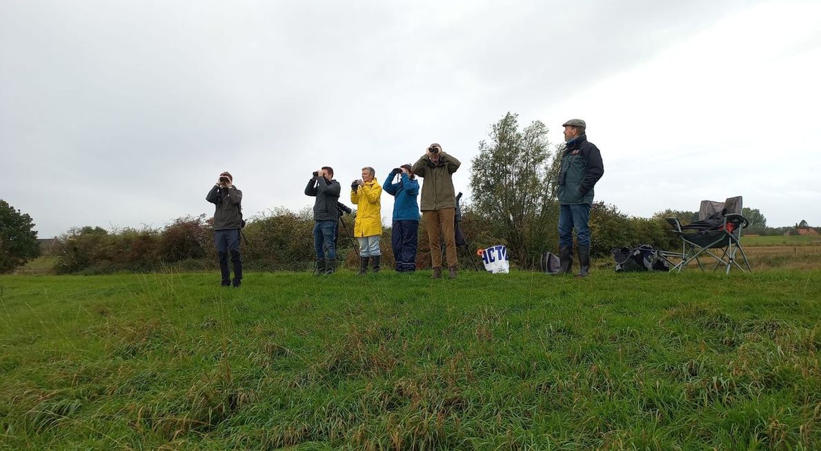 Telpost Redichemse Waard / Louis van Oort