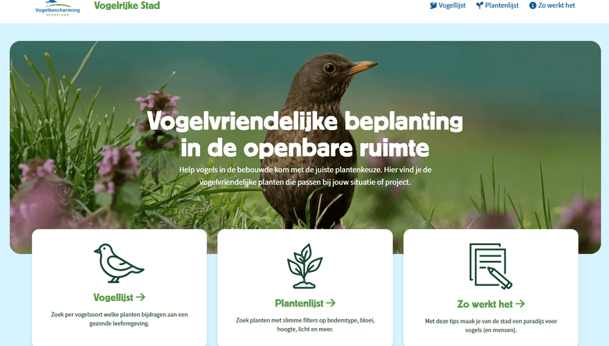 vogelvriendelijke stad