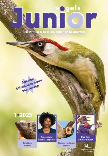 Cover Vogels Junior 1/2025