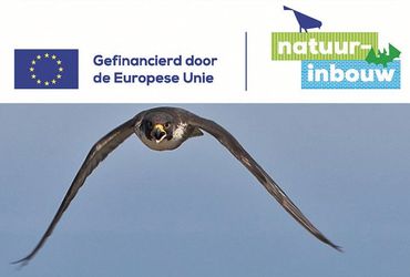 Ga je mee op stadsnatuursafari in Weert?