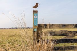 Fietsroute Terschelling / Anne Lieke Struijk