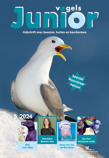 Cover Vogels Junior 5/2024