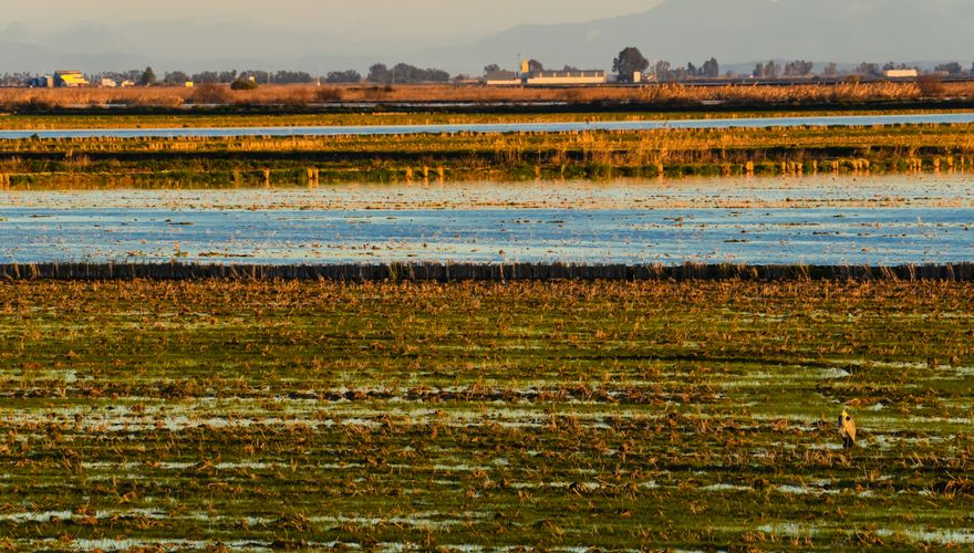 Coto Donana / Shutterstock