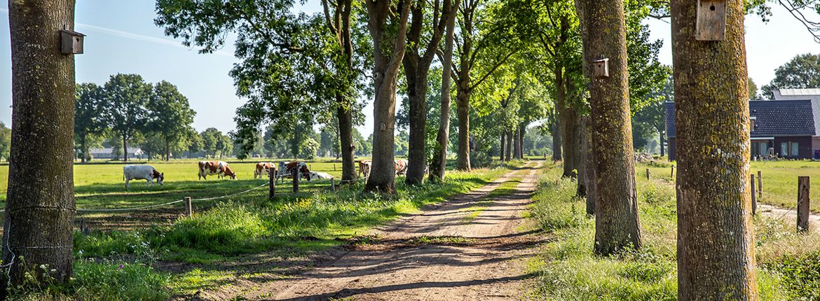 Wicher en Aaltje Hoeve / Fred van Diem