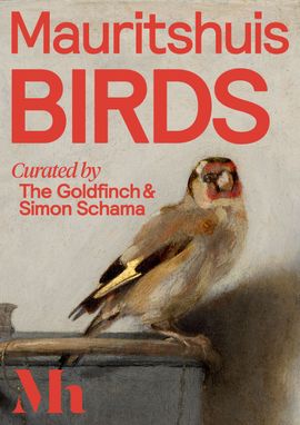 Tentoonstelling BIRDS in het Mauritshuis