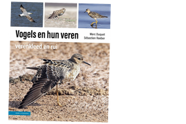 Cover Vogels en hun veren