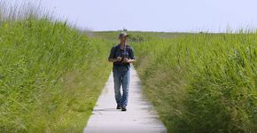 Videostill WetlandWacht Erik Koning Dollard