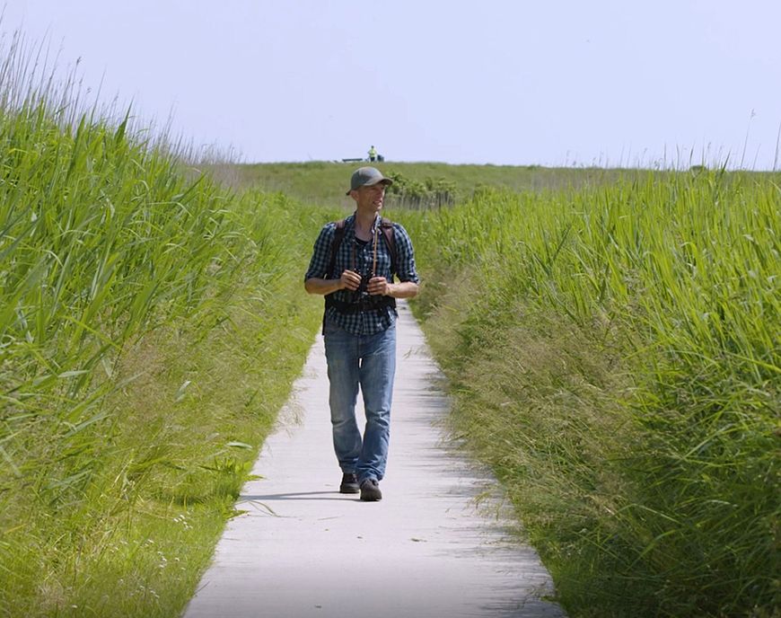 Videostill WetlandWacht Erik Koning Dollard