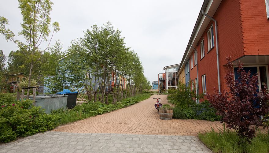 Stadsnatuur / Jouke Altenburg