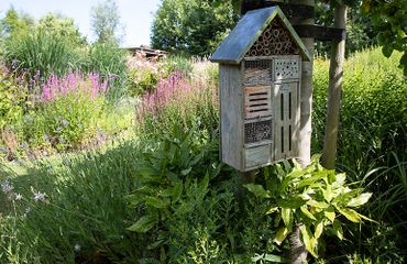 Tuin met insectenhotel / Fred van Diem