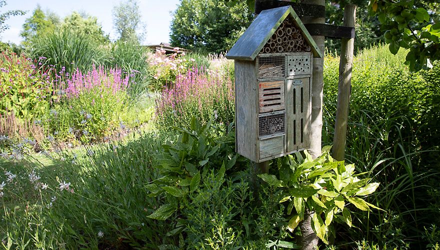 Tuin met insectenhotel / Fred van Diem