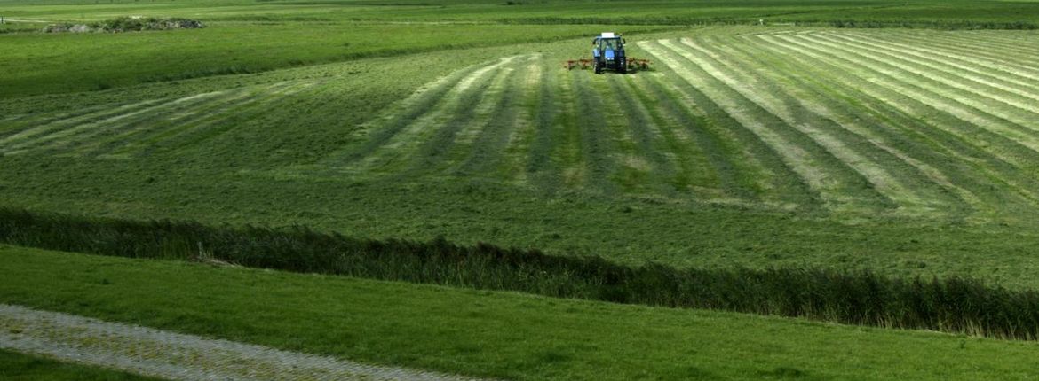 grasschudden / Jouke Altenburg