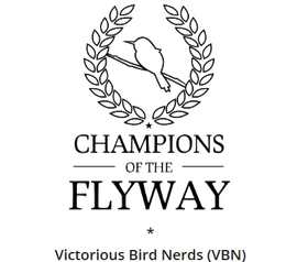 Logo champions of the Flyways