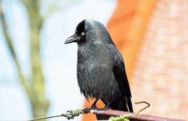 Lekker, dat zonnetje