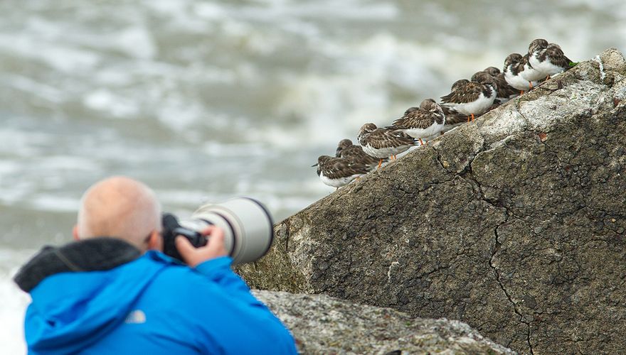 Fotograaf bij steenlopers