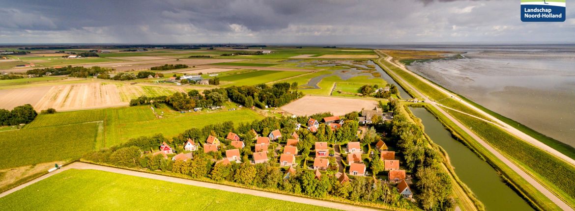 Lepelaarsarrengement Texel / NoordHollandsLandschap