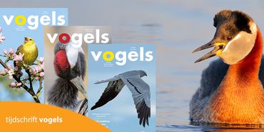 Tijdschrift Vogels
