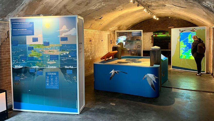 Expositie De Stern