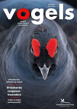 Cover Vogels 05/2020