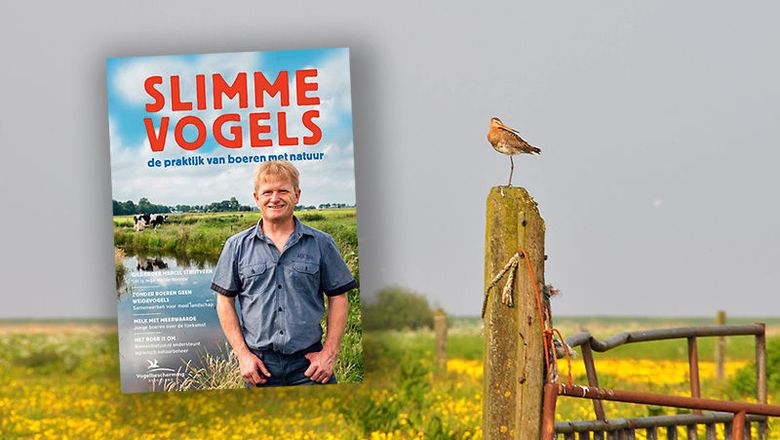 Slimme Vogels / Rene Faber