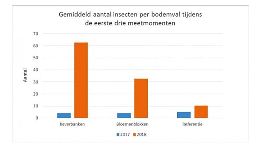 Grafiel insecten Partridge