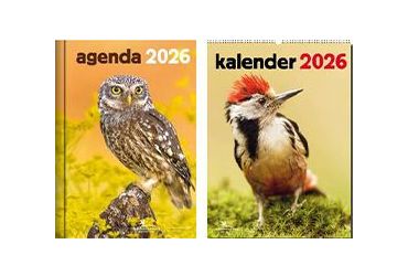 Agenda en kalender 2026